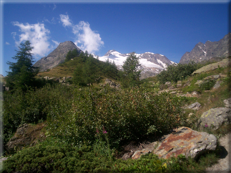 foto Colle della Crosatie